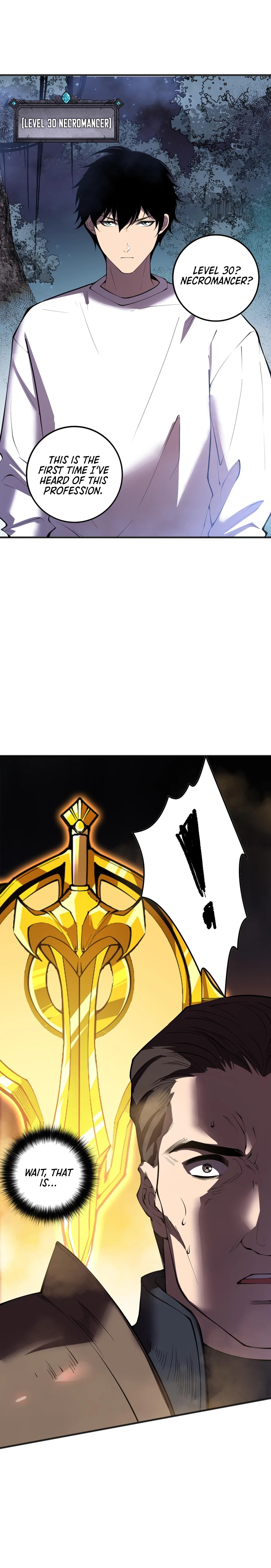  Necromancer, the Ultimate Scourge! Chapter 113 - 10