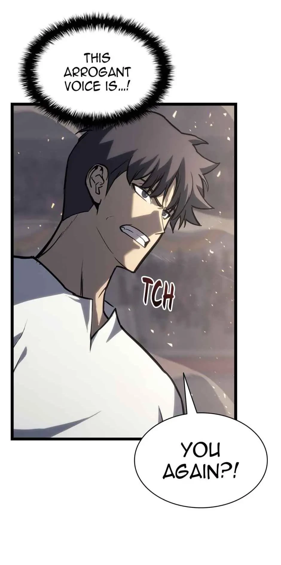 Return of the Disaster-Class Hero Chapter 65 - 12