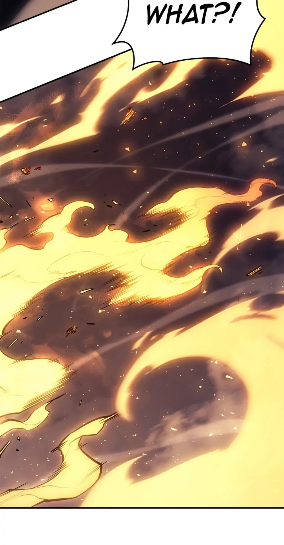 Return of the Disaster-Class Hero Chapter 20 - 96