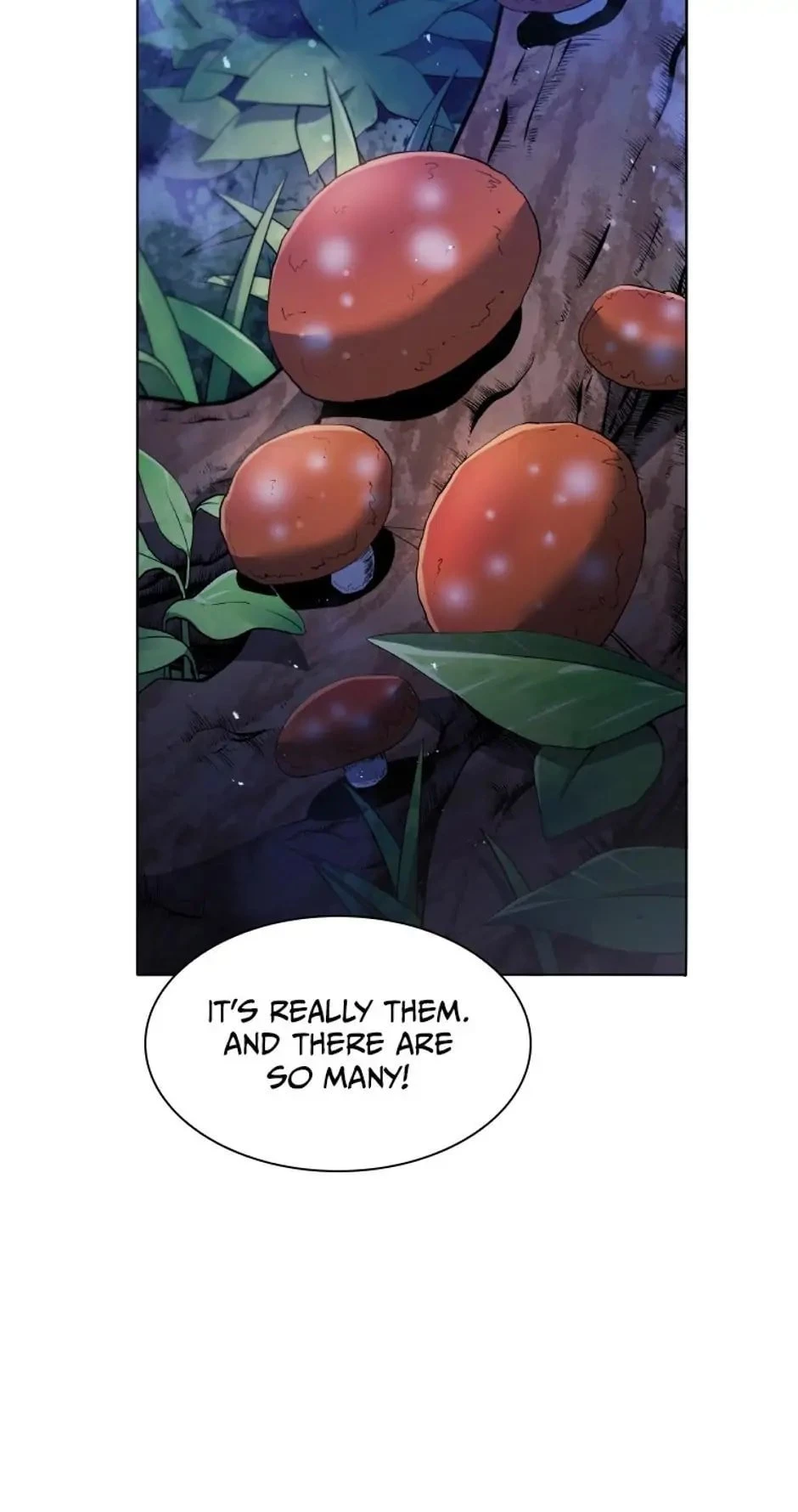 Necromancer Academy and the Genius Summoner Chapter 30 - 17