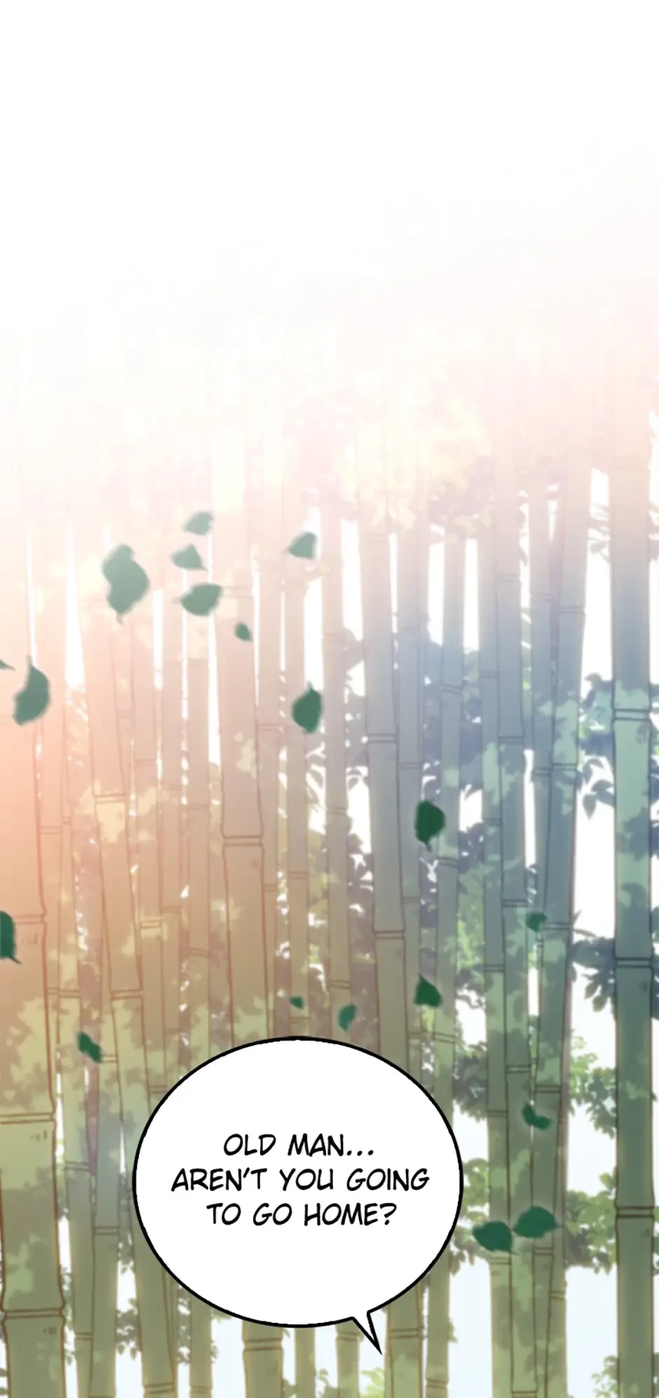 The Nine Heavens Swordmaster Chapter 24 - 1