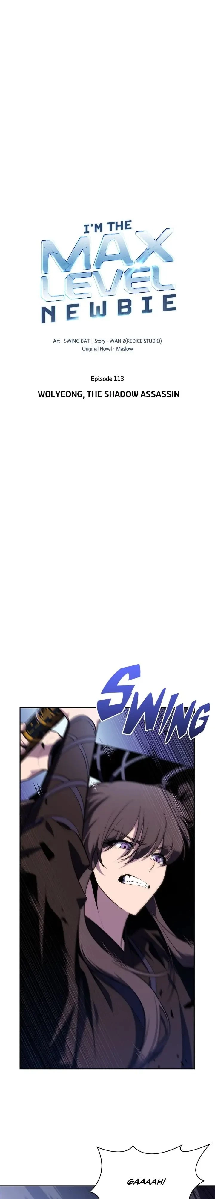 I’m the Max-Level Newbie Chapter 113 - 7
