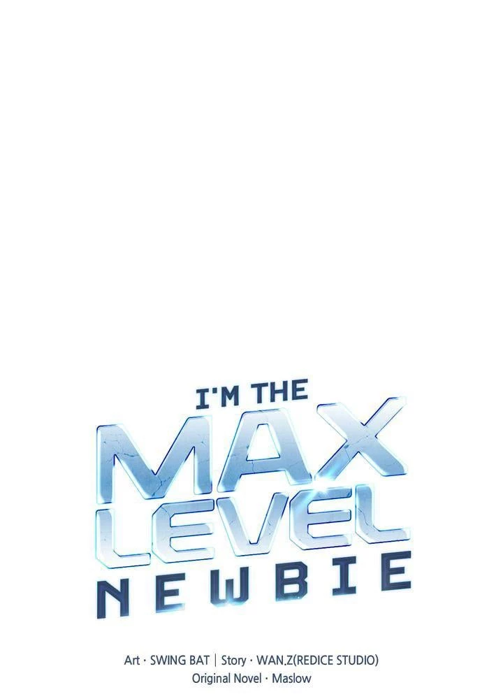 I’m the Max-Level Newbie Chapter 3 - 17