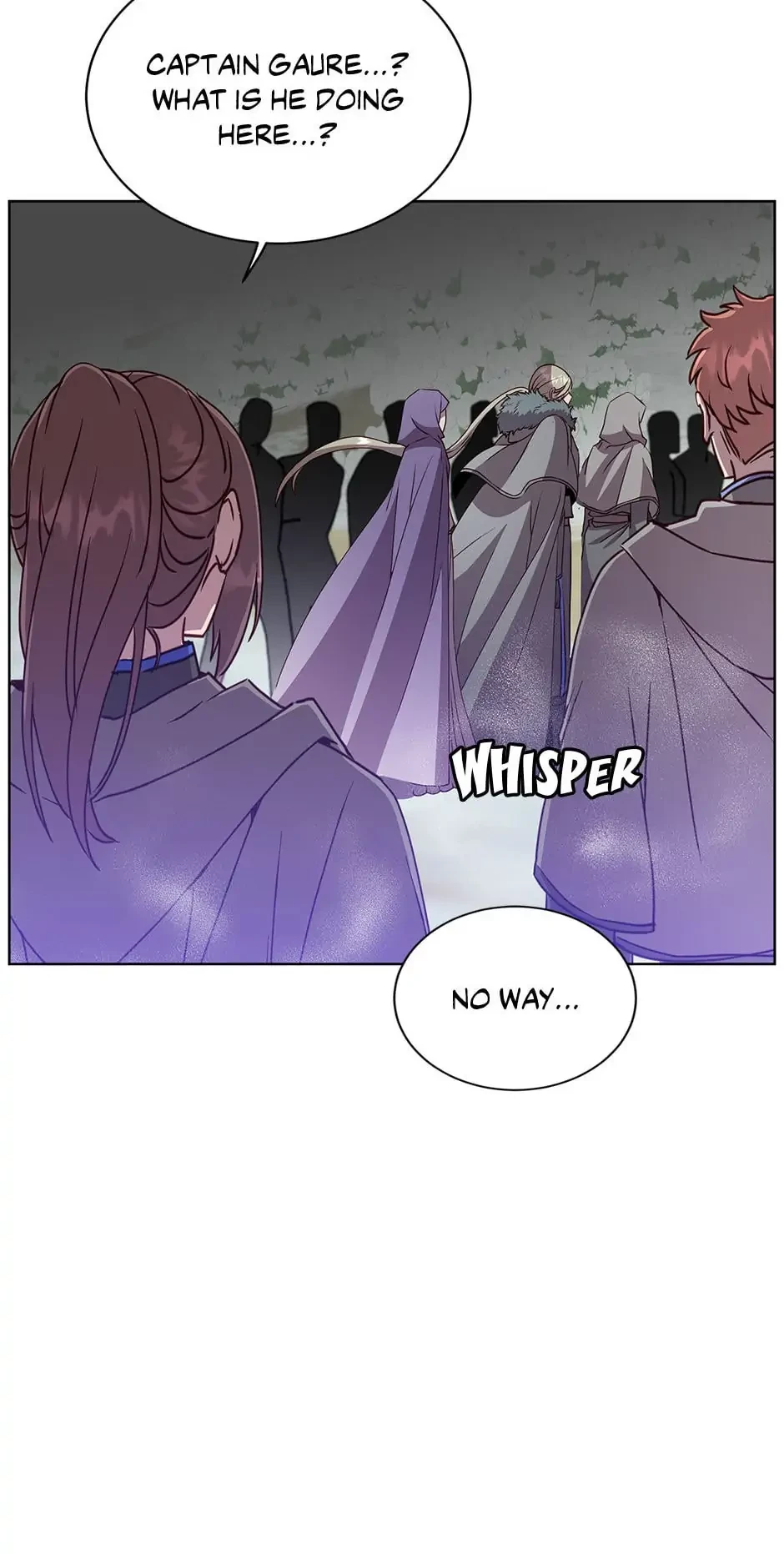 The Max Level Hero Strikes Back Chapter 114 - 14