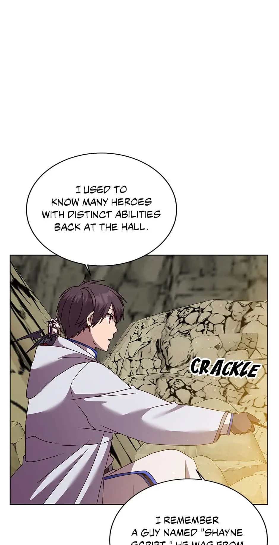 The Max Level Hero Strikes Back Chapter 109 - 43