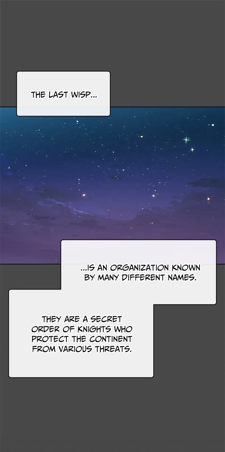 The Max Level Hero has Returned! Chapter 82 - 10