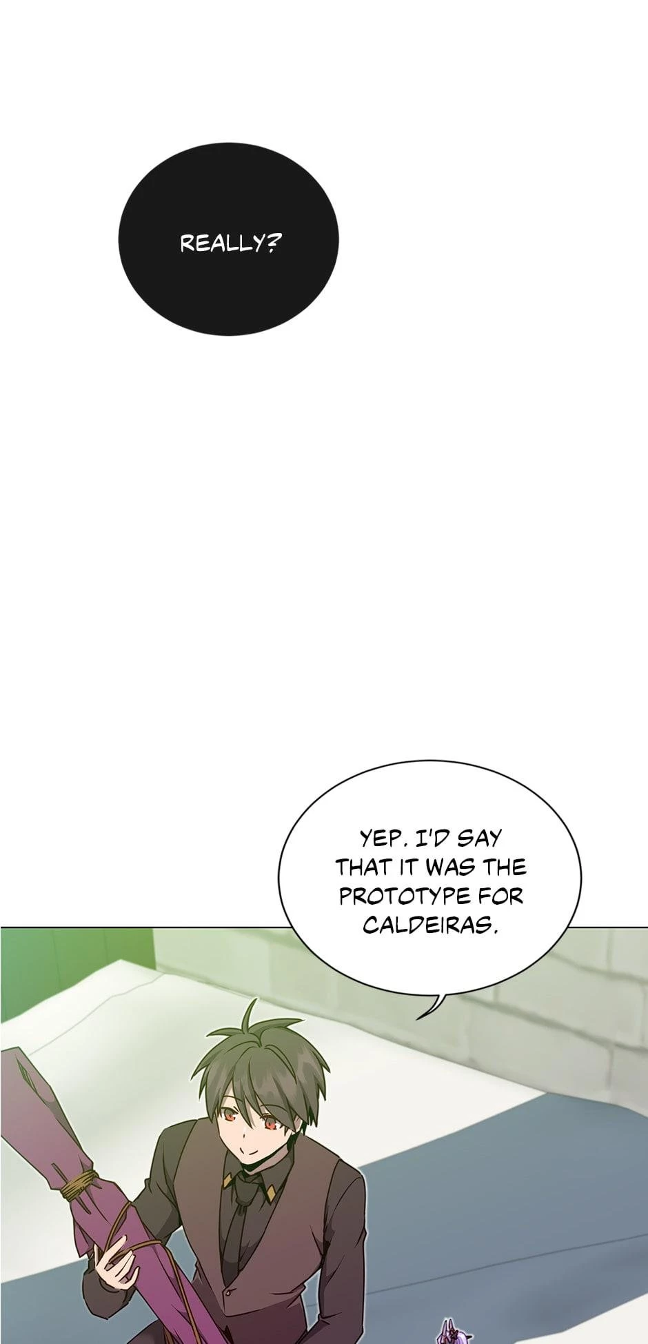 The Max Level Hero Strikes Back Chapter 48 - 13