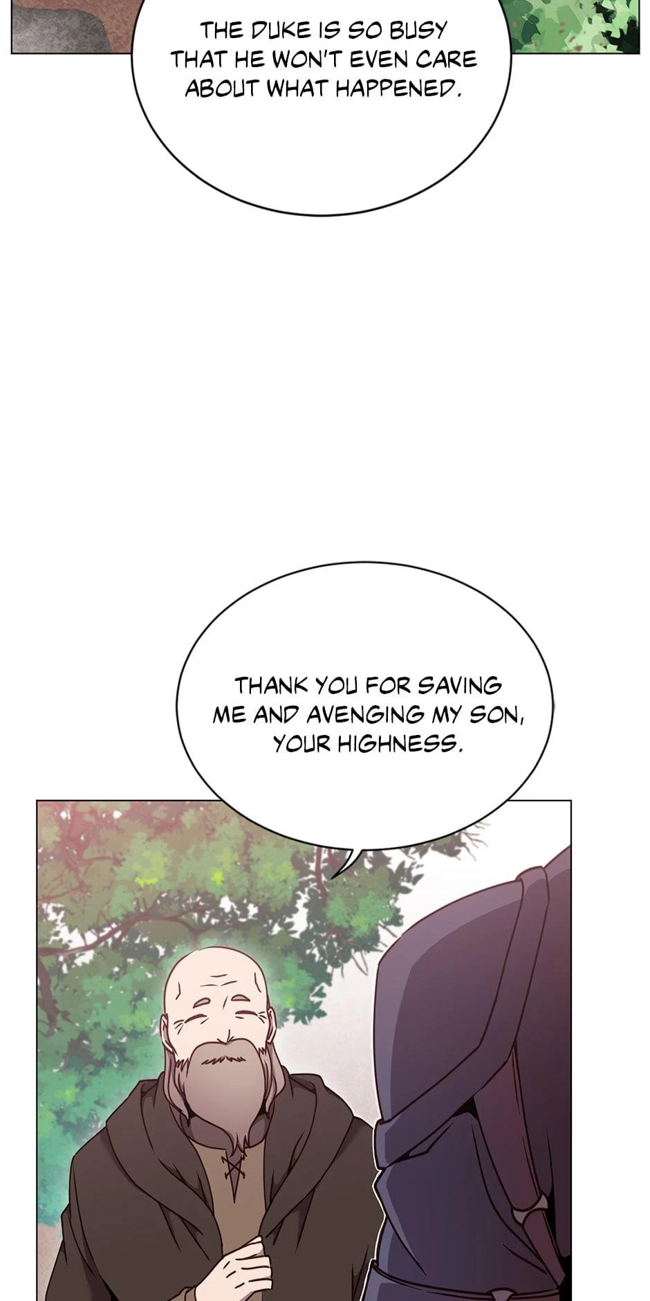 The Max Level Hero Strikes Back Chapter 43 - 13