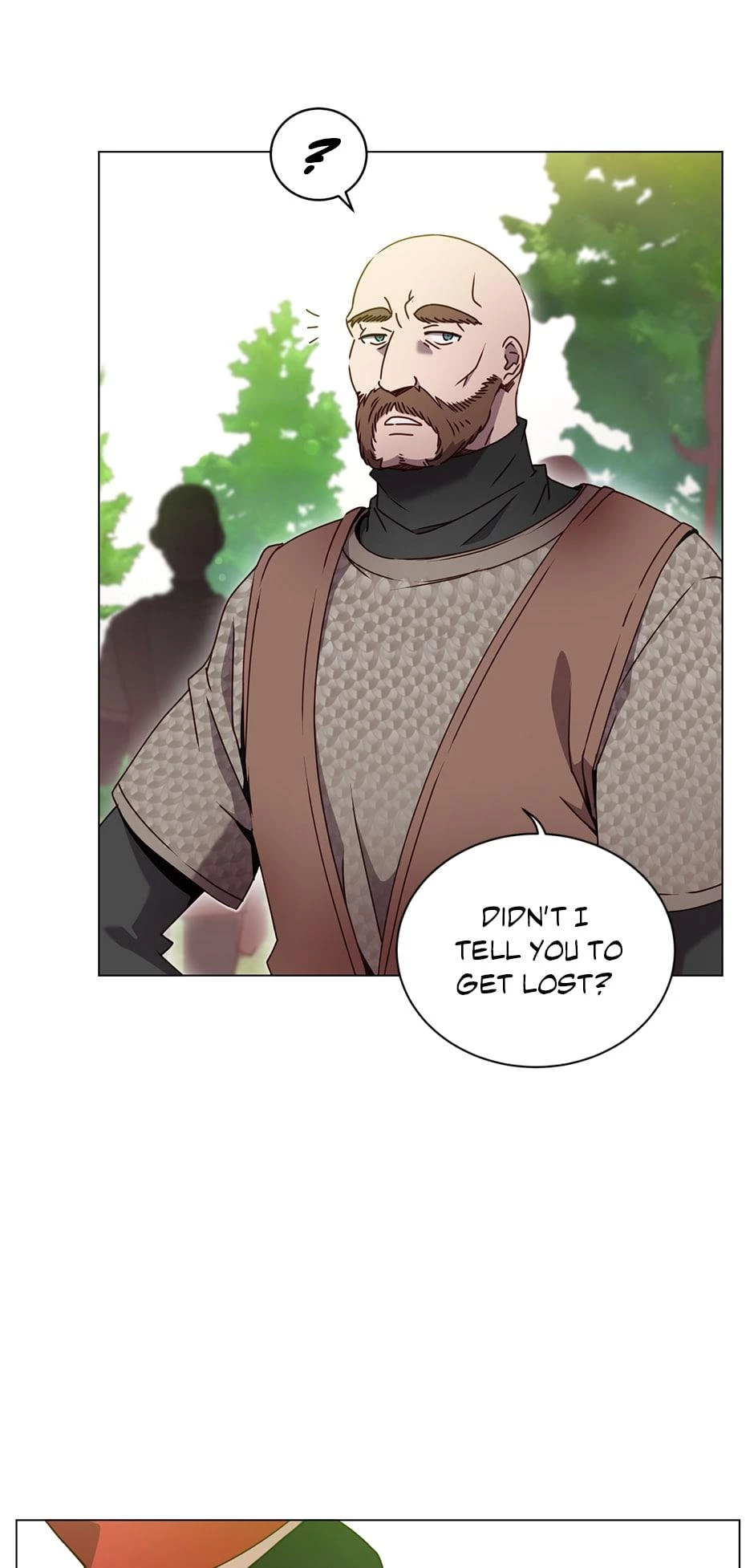 The Max Level Hero Strikes Back Chapter 42 - 17