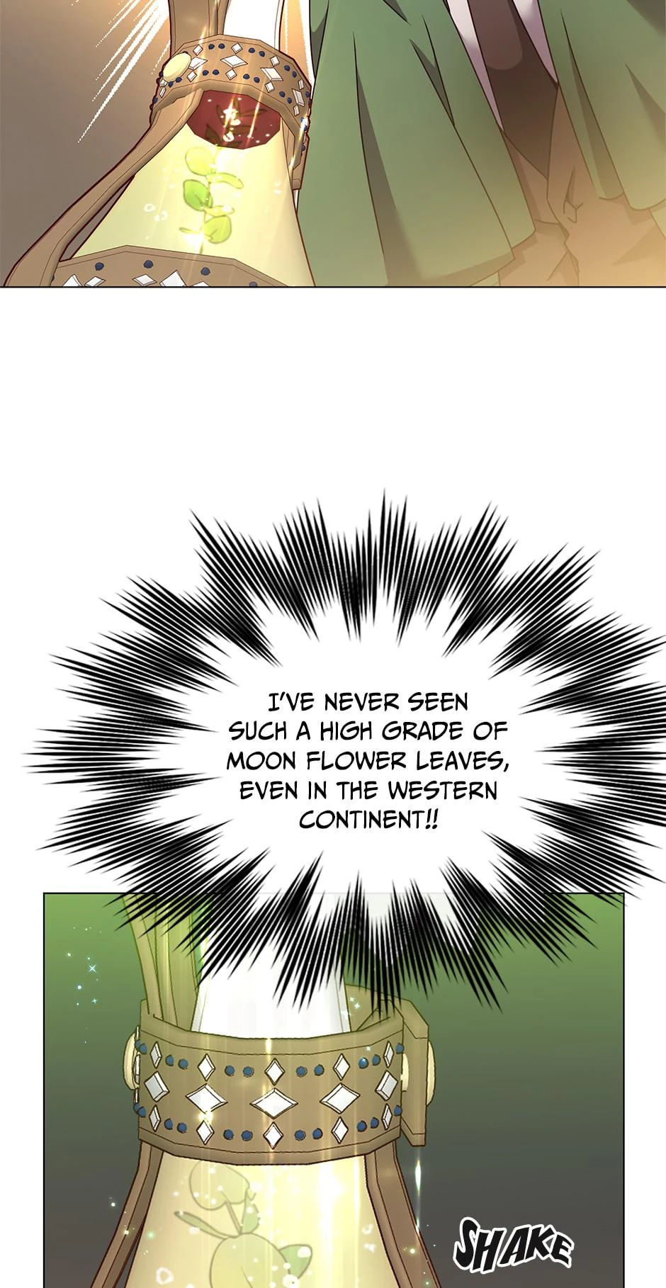 The Max Level Hero Strikes Back Chapter 40 - 12
