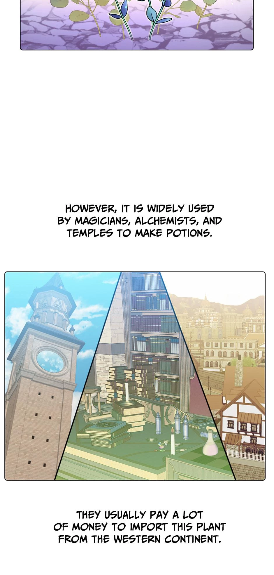 The Max Level Hero Strikes Back Chapter 37 - 2