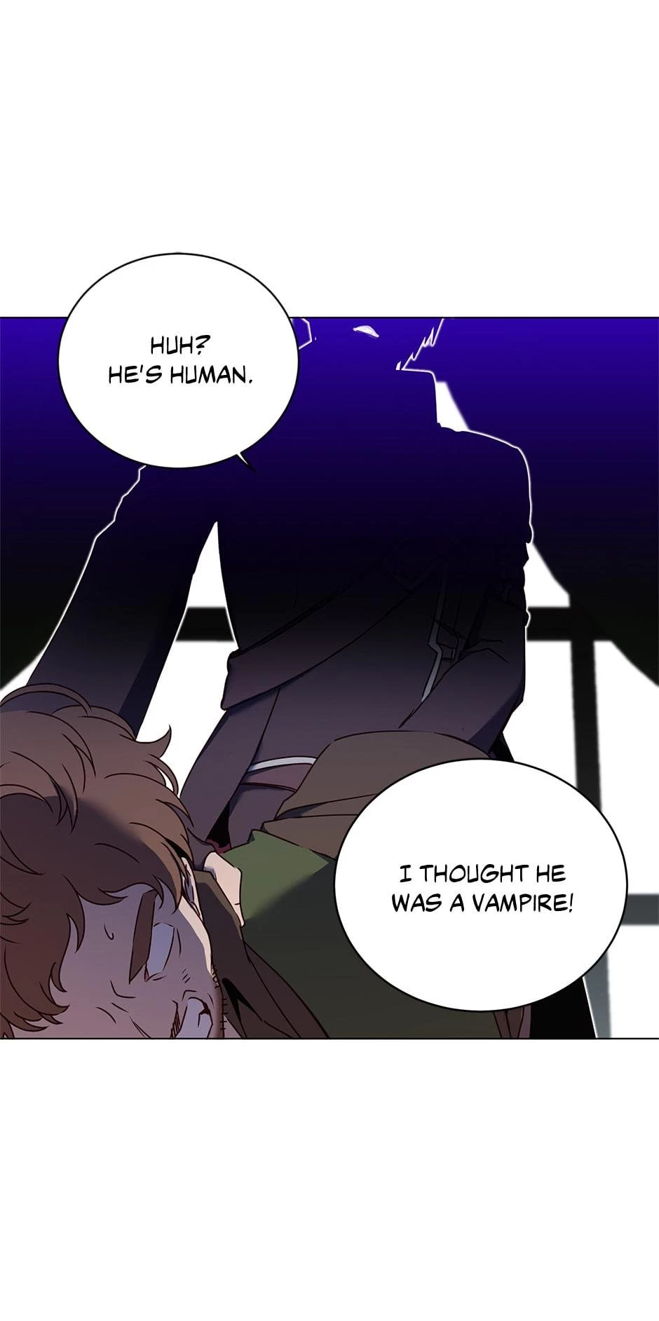 The Max Level Hero Strikes Back Chapter 29 - 21