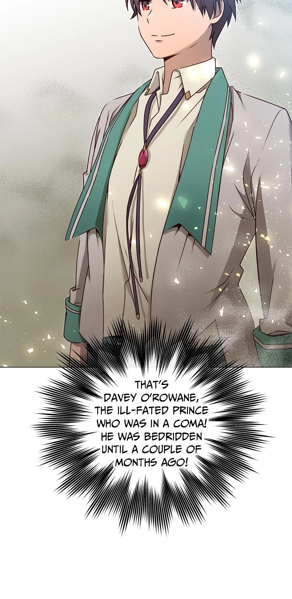 The Max Level Hero Strikes Back Chapter 23 - 9