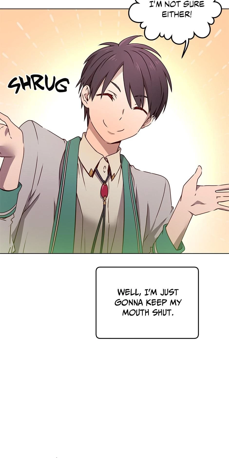The Max Level Hero has Returned! Chapter 22 - 15