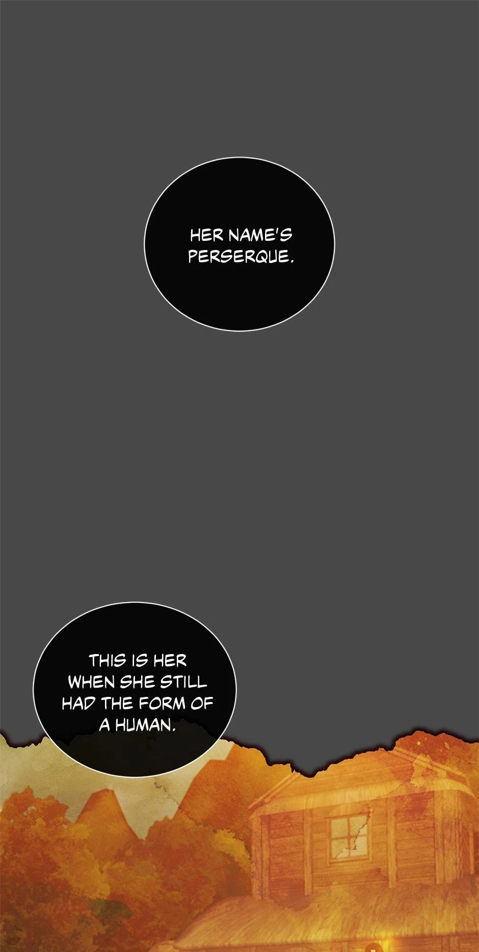The Max Level Hero has Returned! Chapter 26 - 58