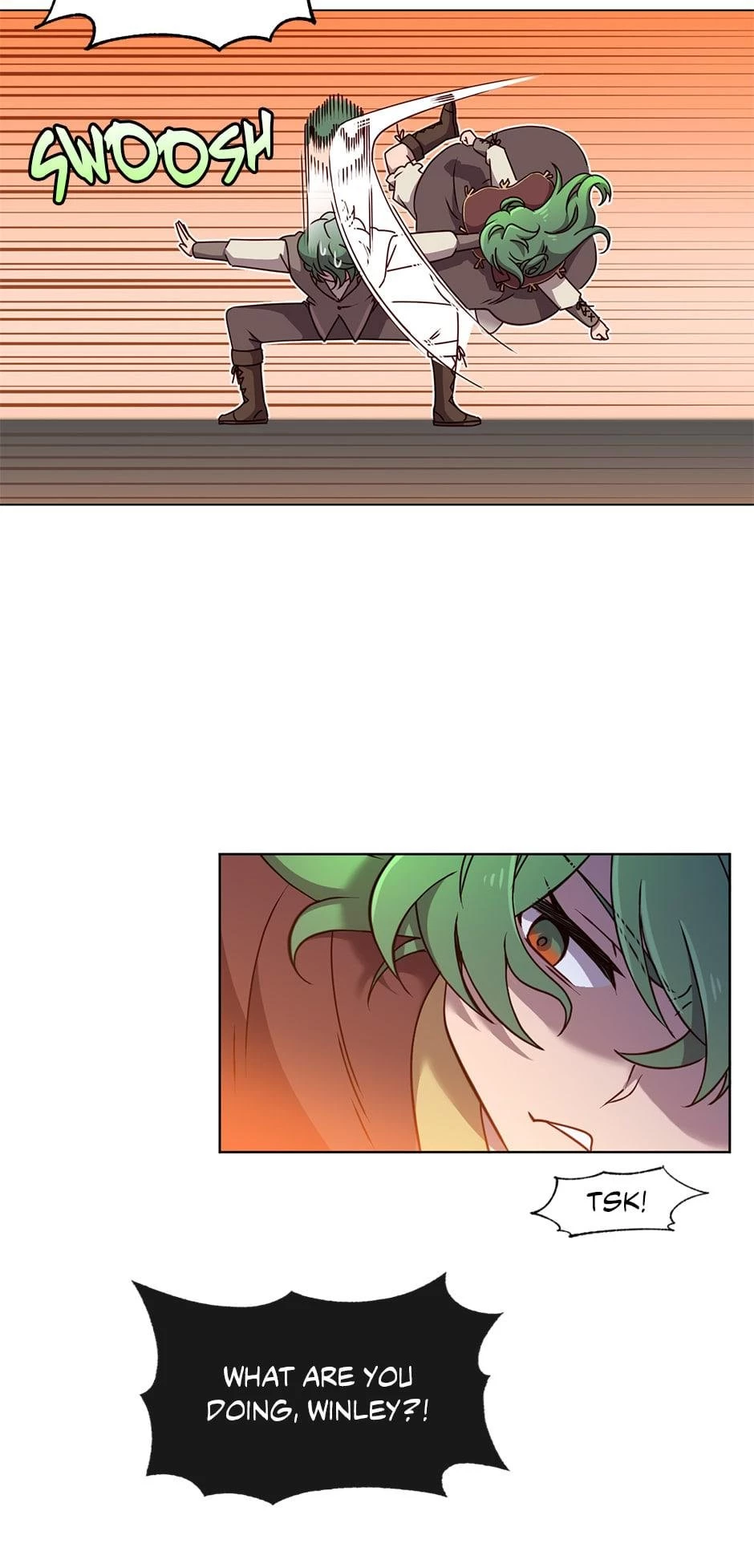 The Max Level Hero Strikes Back Chapter 10 - 6