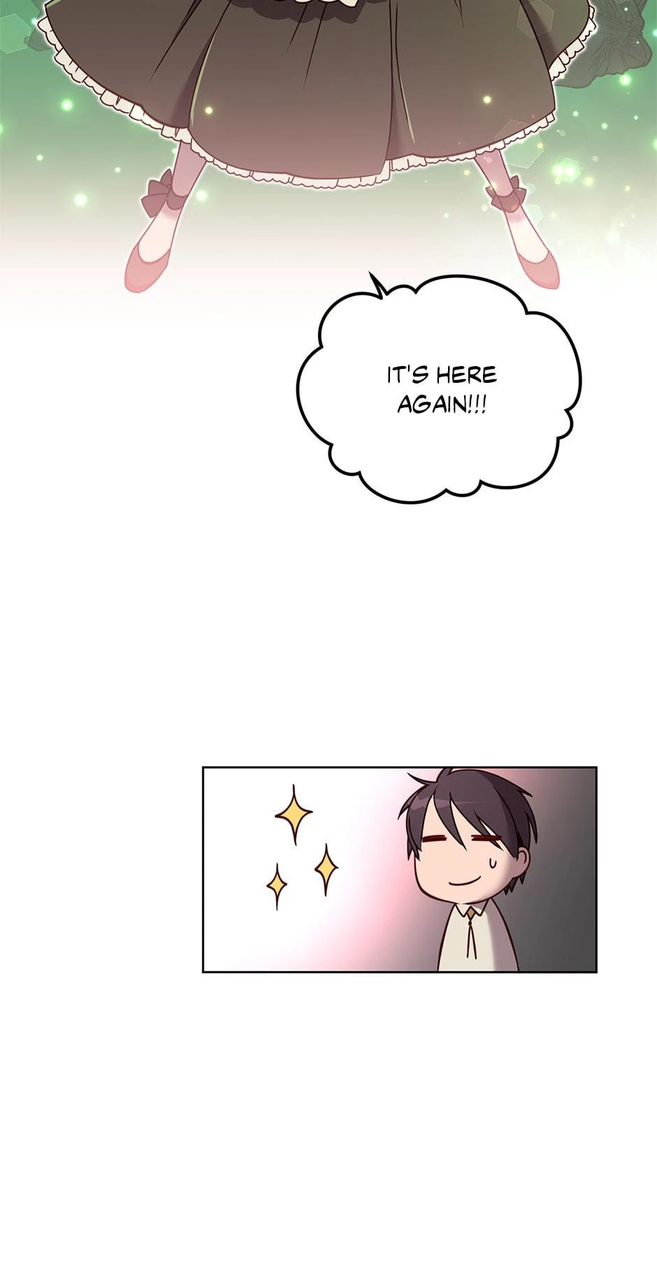 The Max Level Hero Strikes Back Chapter 9 - 17