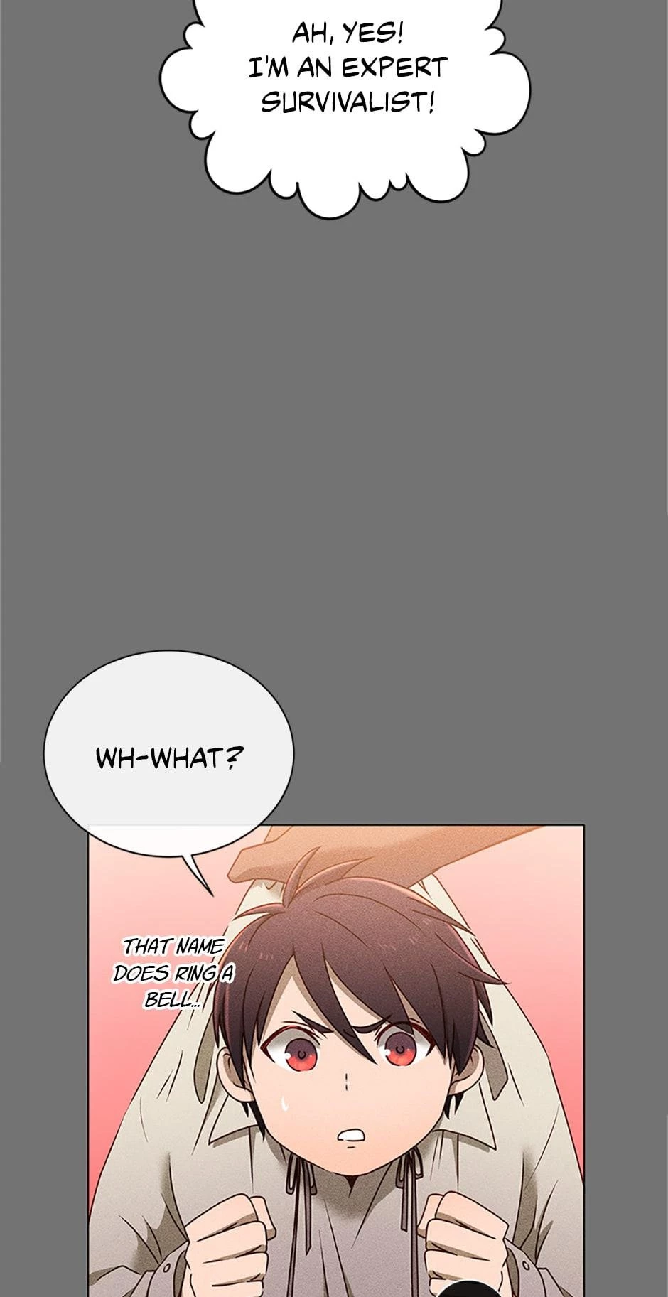 The Max Level Hero Strikes Back Chapter 2 - 15