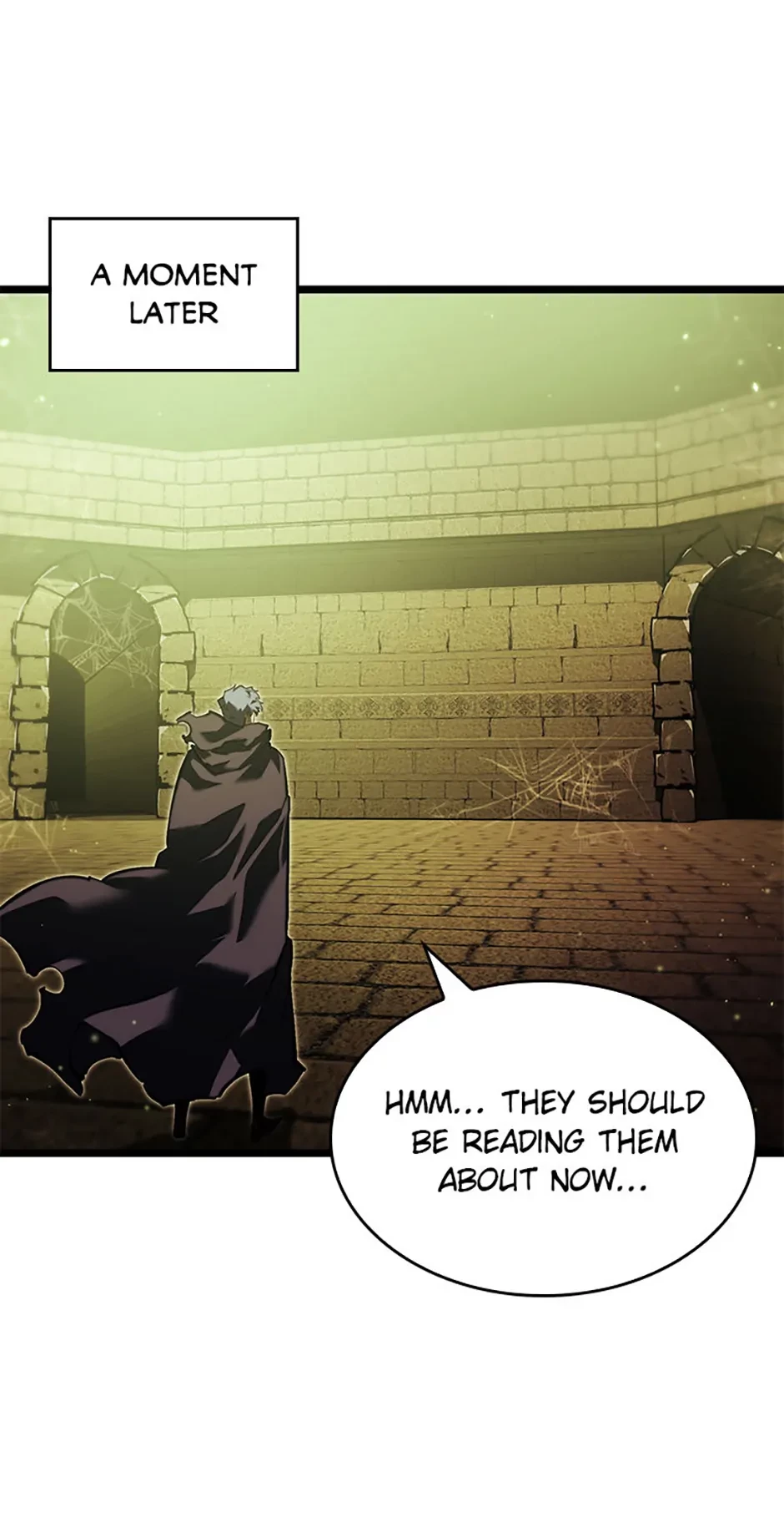 The SSS-Ranker Returns Chapter 87 - 76
