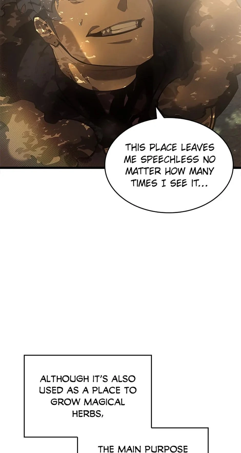 The SSS-Ranker Returns Chapter 76 - 21