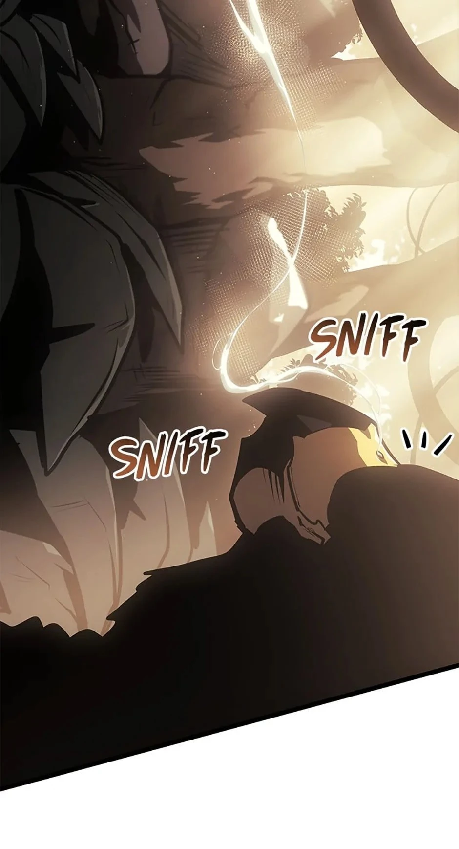 The SSS-Ranker Returns Chapter 74 - 89