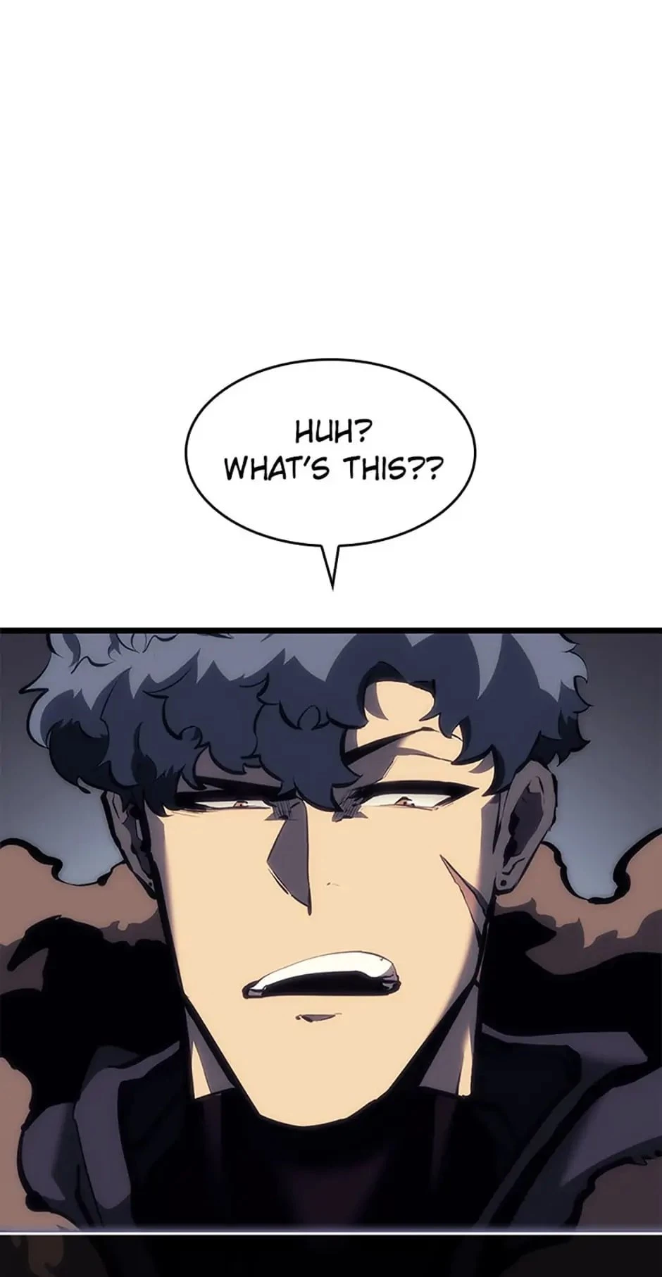 The SSS-Ranker Returns Chapter 45 - 2