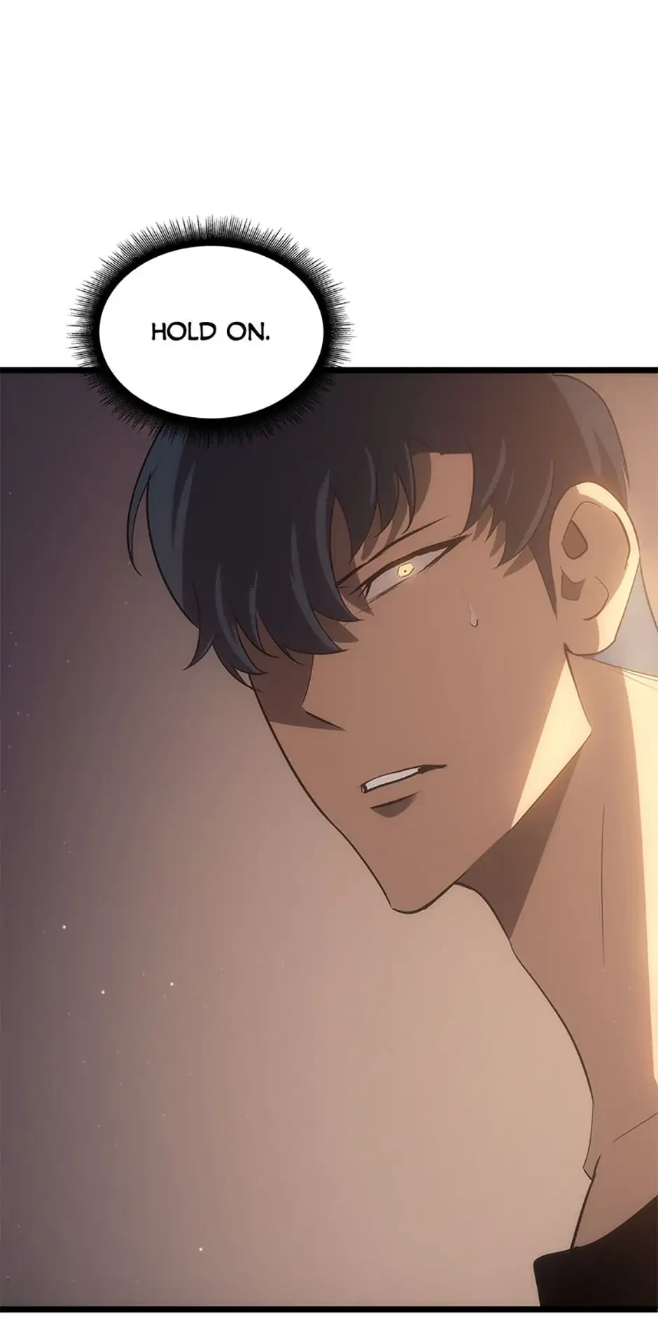 The SSS-Ranker Returns Chapter 1 - 130