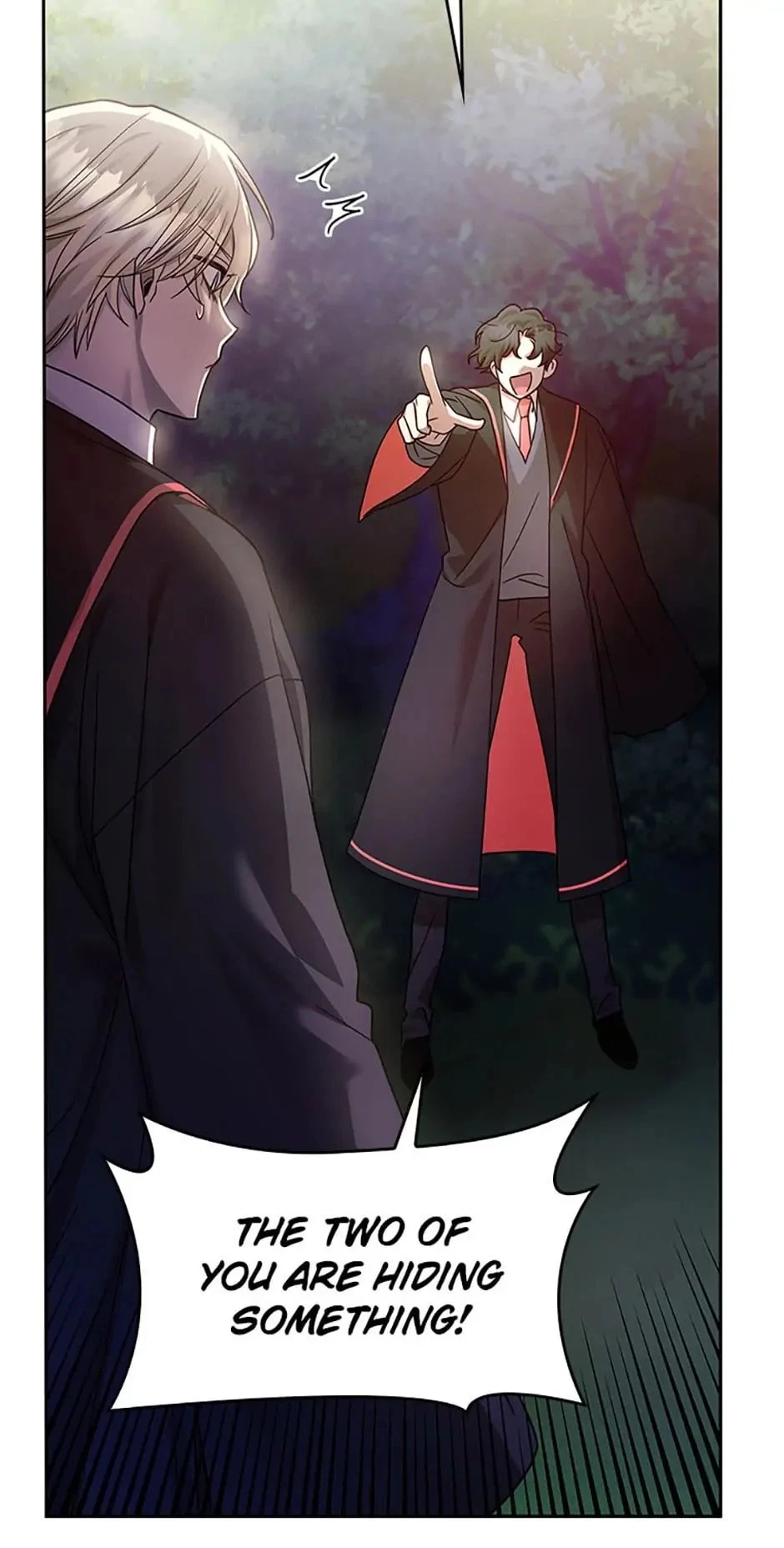 The Infinite Mage Chapter 27 - 42