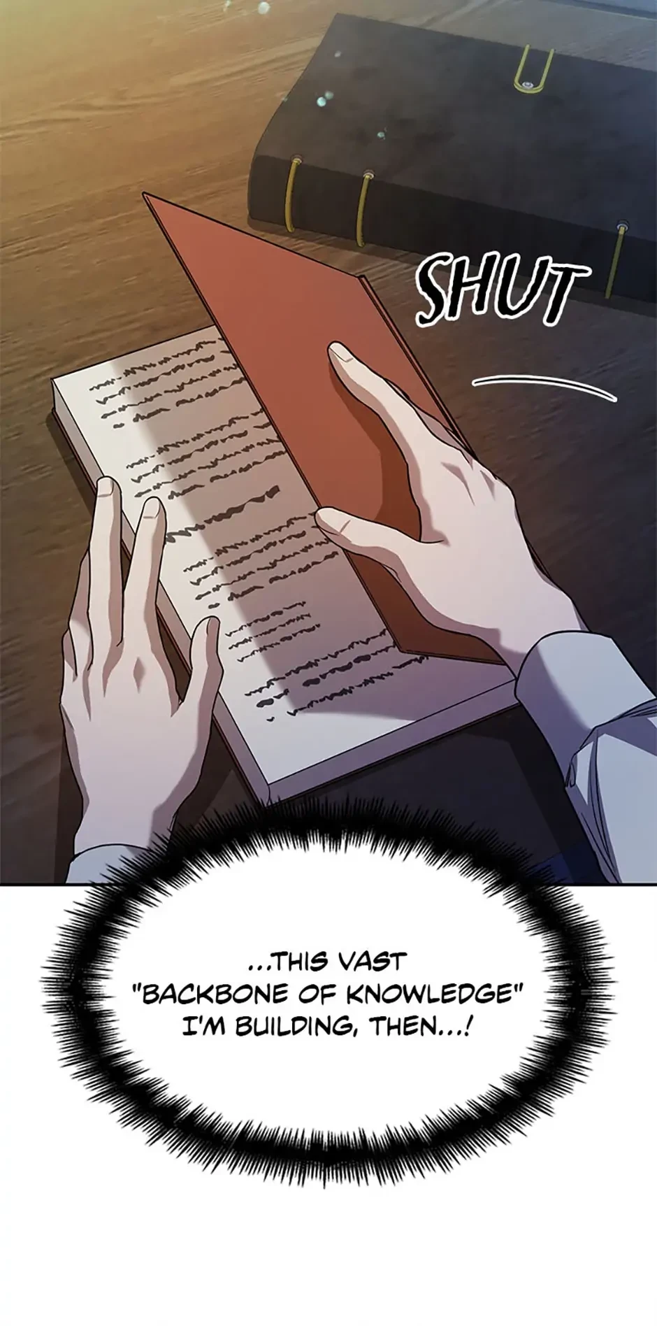 The Infinite Mage Chapter 6 - 46