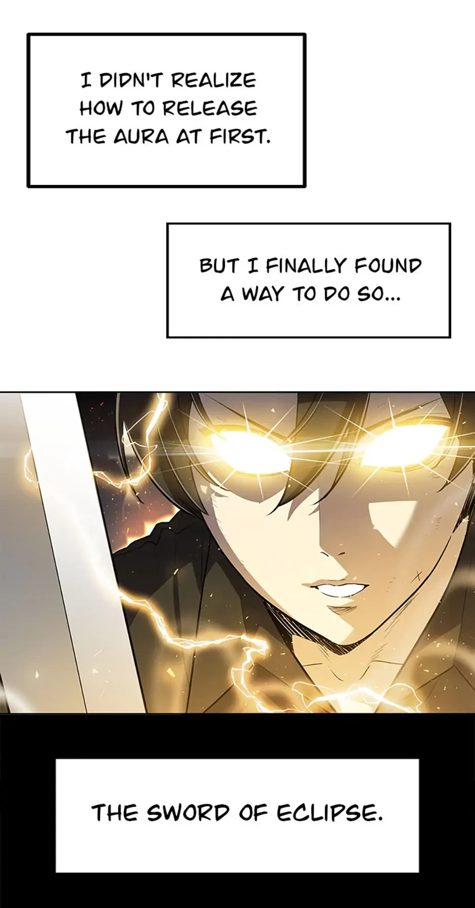 Disciple of the Holy Sword Chapter 49 - 8