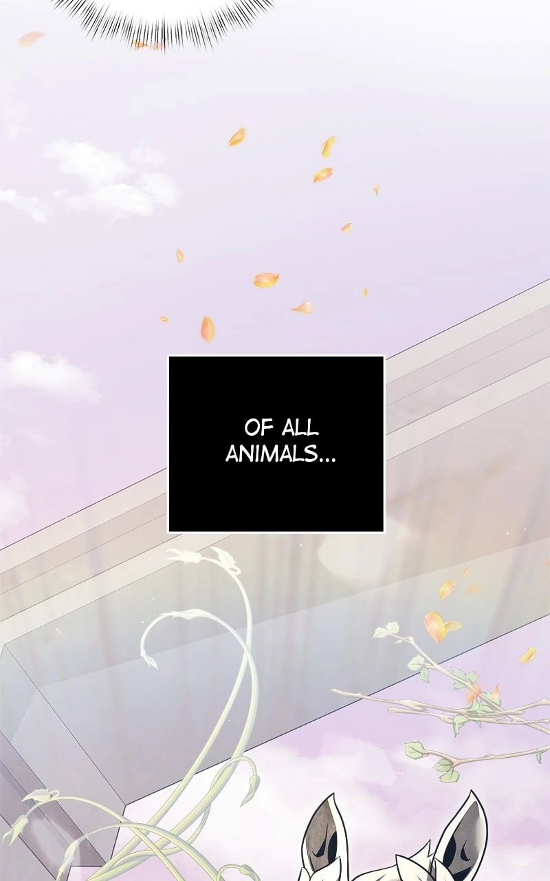 Time-Limited Genius Dark Knight Chapter 9 - 43