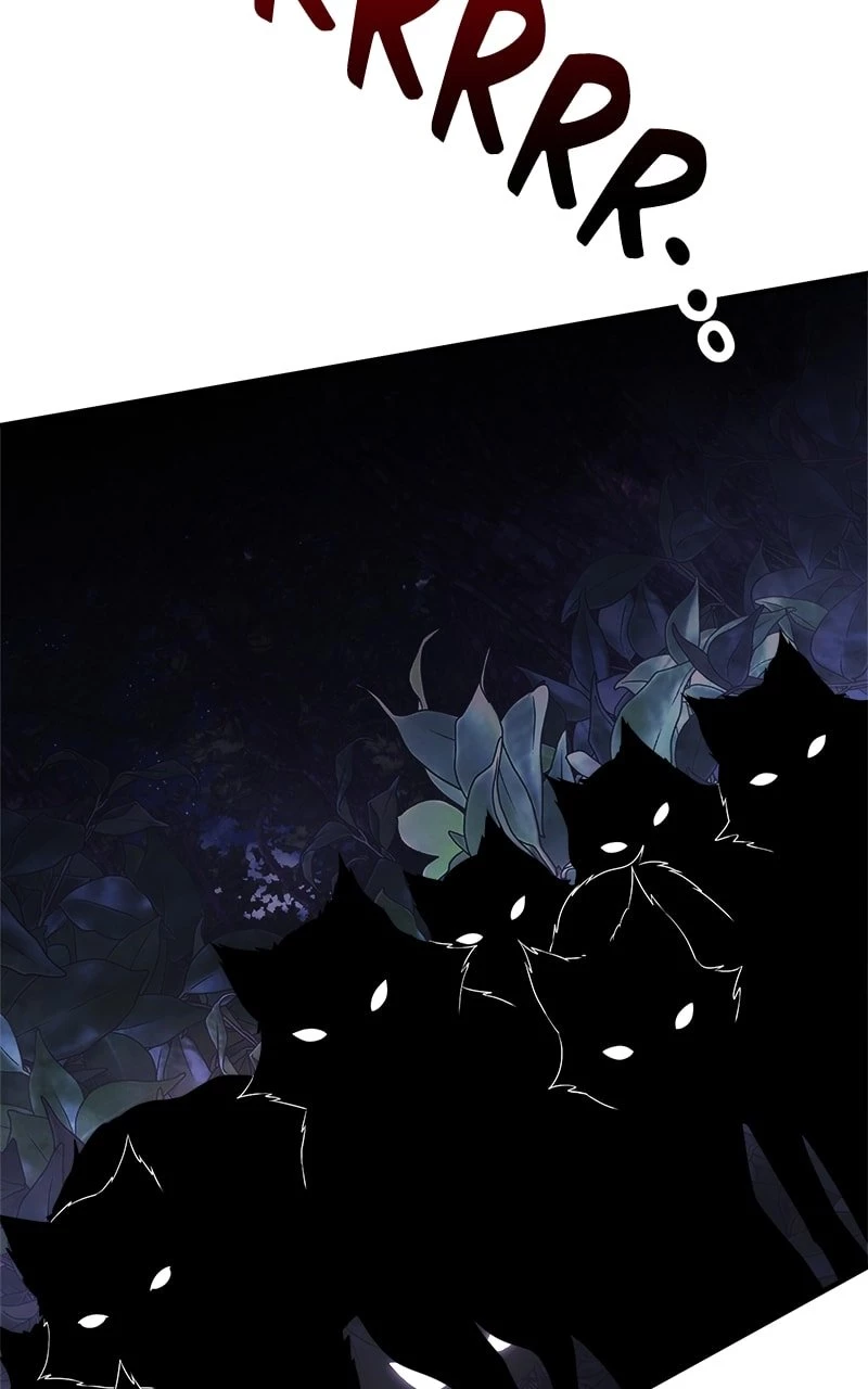 Time-Limited Genius Dark Knight Chapter 11 - 143