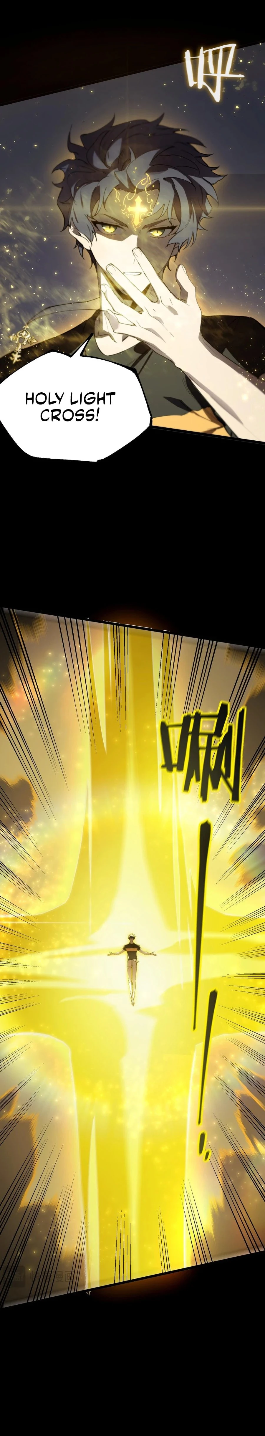 SSS-Rank Paladin Who Transcends Common Sense Chapter 45 - 9