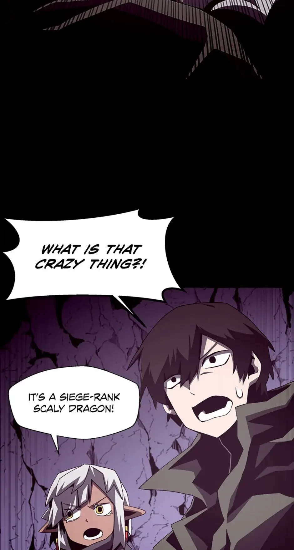 Dungeon Odyssey Chapter 30 - 2