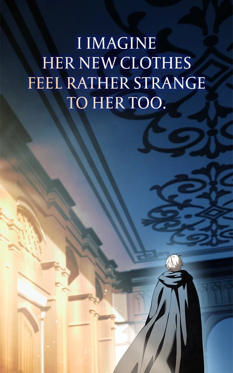 The Stellar Swordmaster Chapter 27 - 100