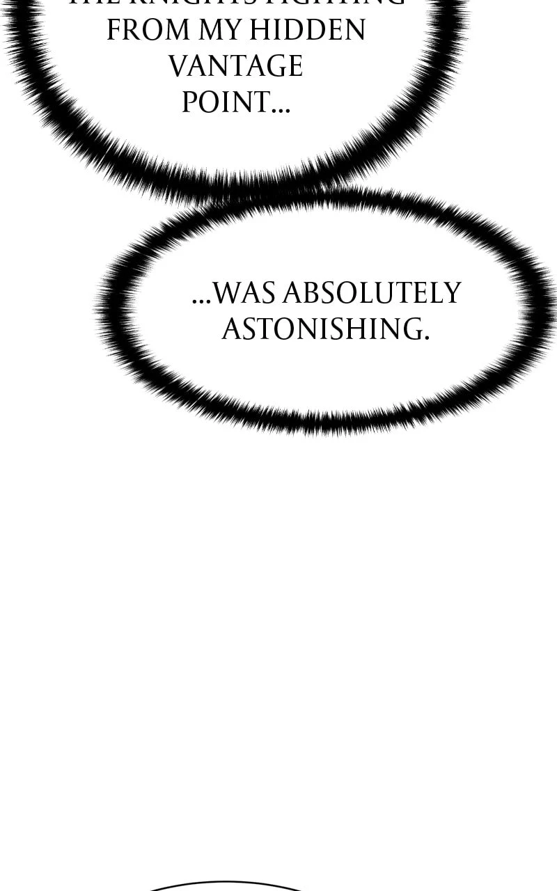 The Stellar Swordmaster Chapter 19 - 147