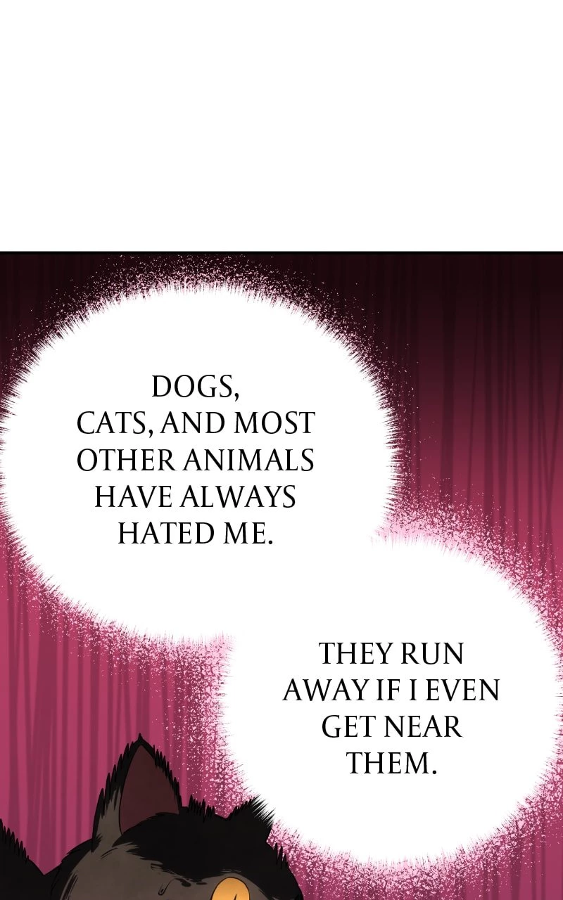 The Stellar Swordmaster Chapter 16 - 45