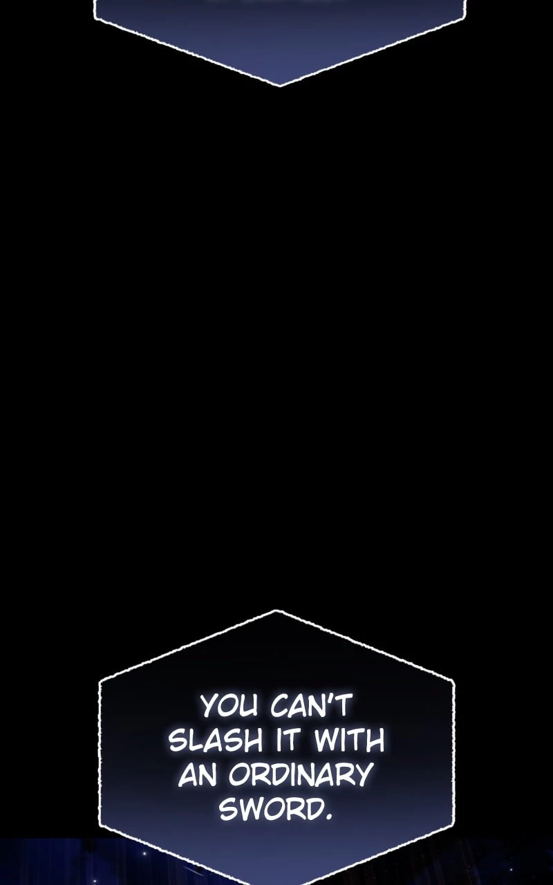 The Stellar Swordmaster Chapter 11 - 46