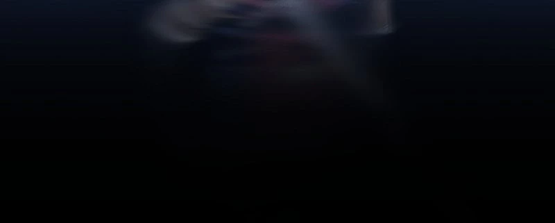 The Stellar Swordmaster Chapter 11 - 55