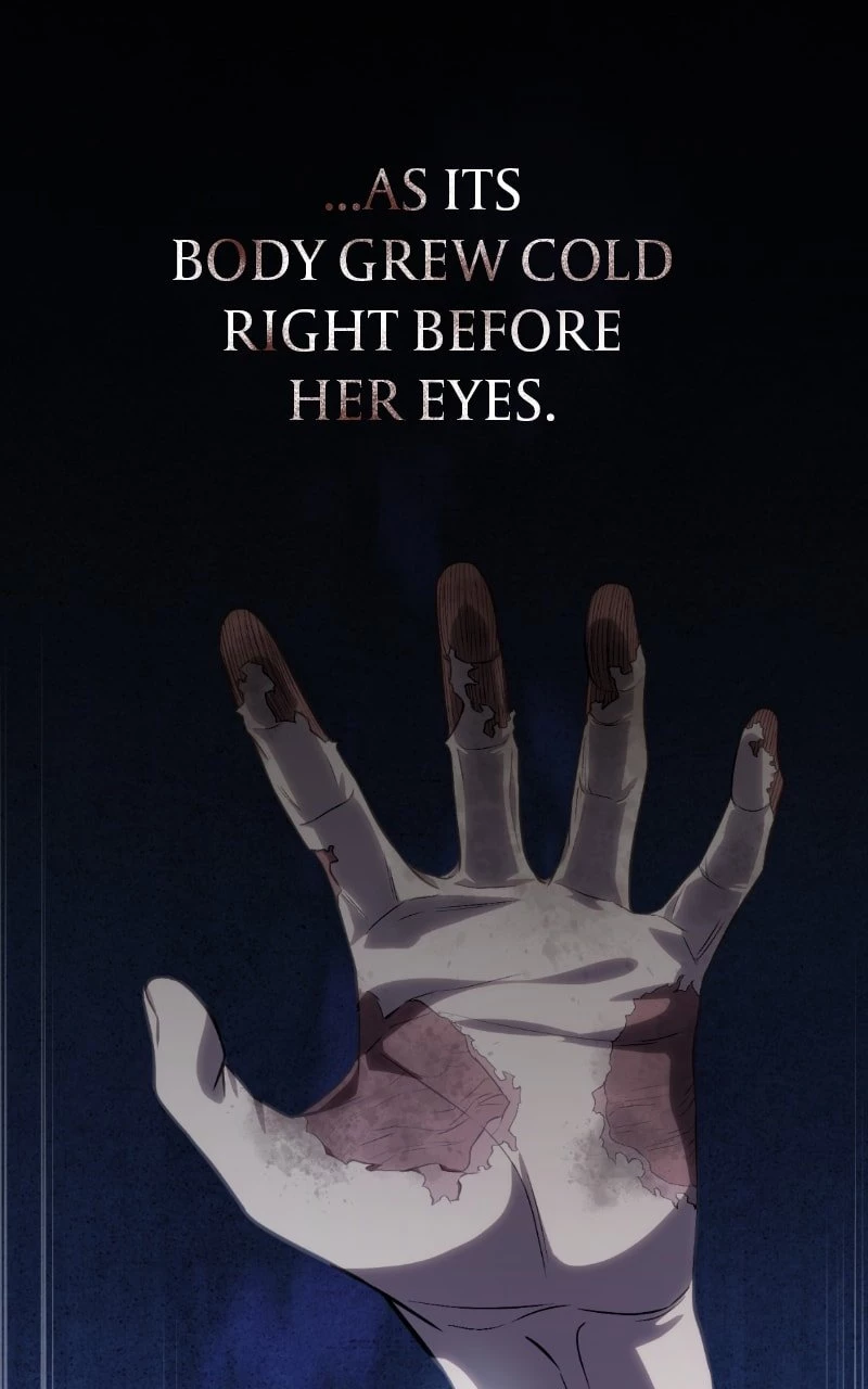 The Stellar Swordmaster Chapter 11 - 155