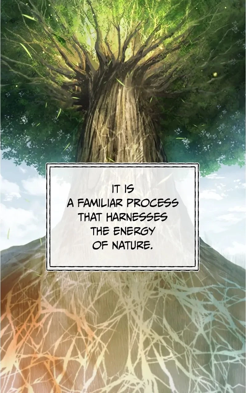 Descended from Divinity Chapter 66 - 42