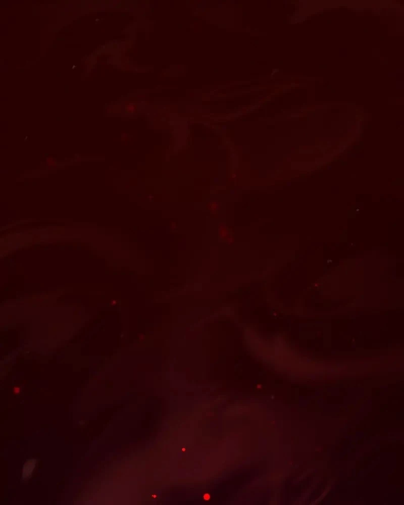 Descended from Divinity Chapter 28 - 162