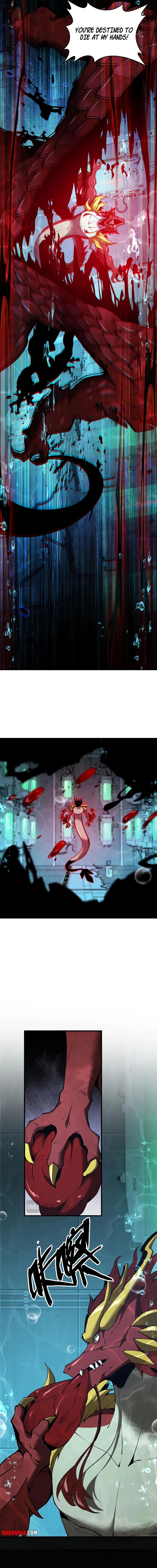Evolution from Carp to Divine Dragon Chapter 40 - 11