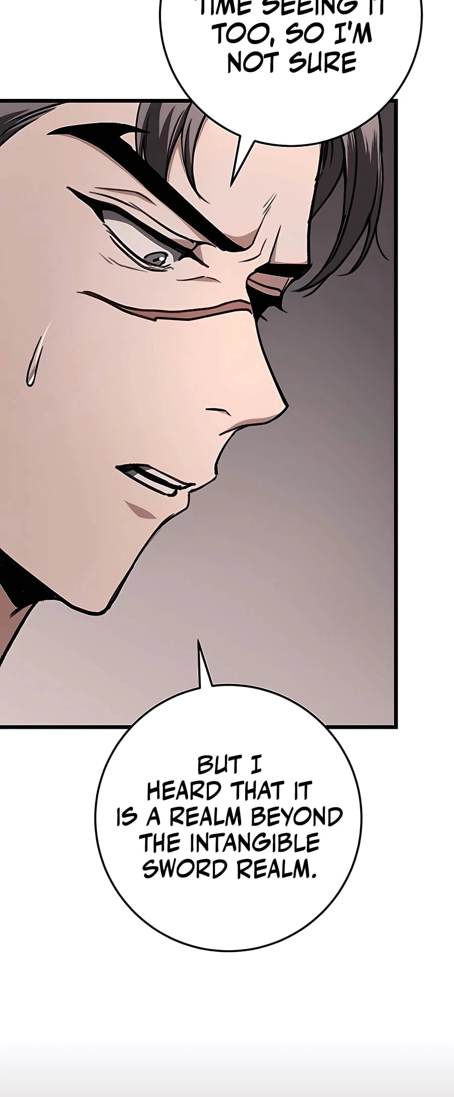 Emperor's Sword Chapter 35 - 11
