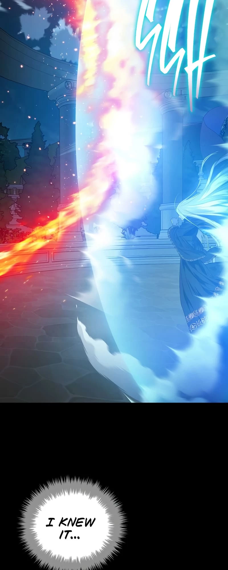 The Reincarnated Assassin Is a Swordmaster Chapter 0 - 46