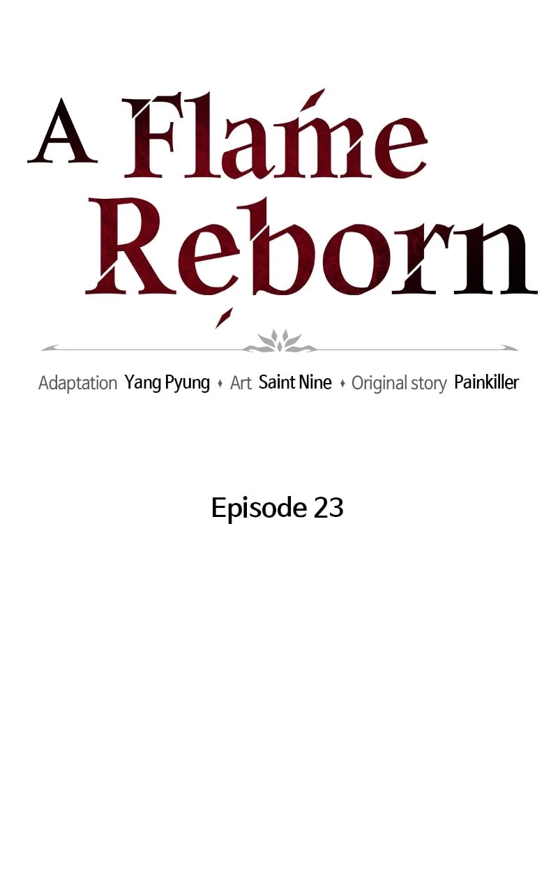 A Flame Reborn Chapter 23 - 47