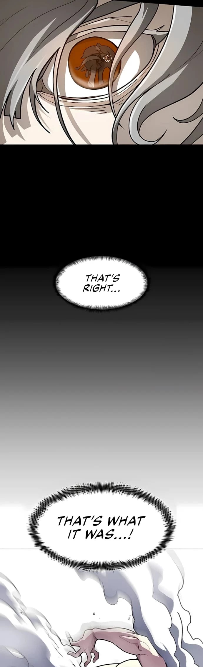 The Zenith Chapter 11 - 66