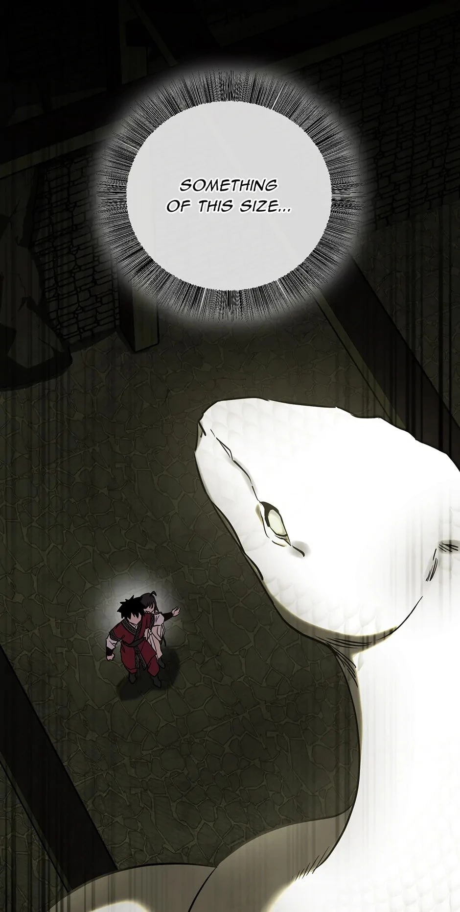Shadow of the Supreme Chapter 25 - 8
