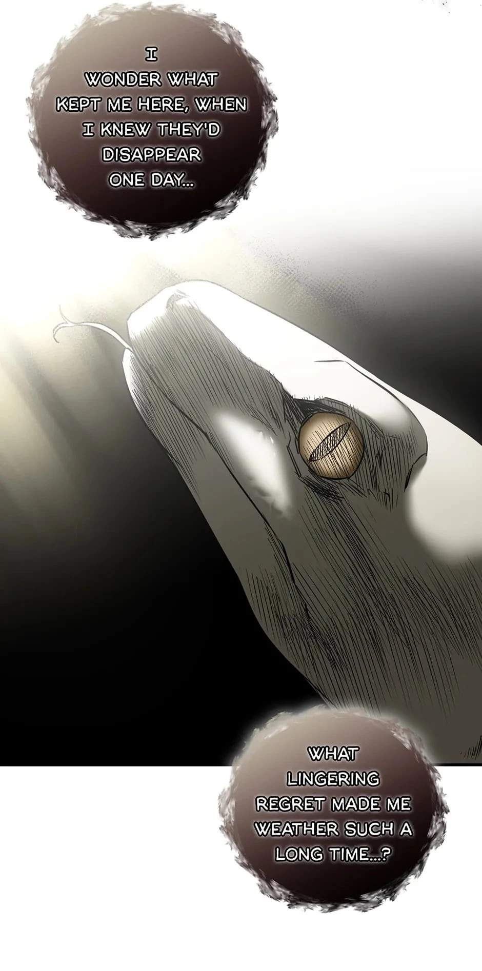 Shadow of the Supreme Chapter 25 - 37