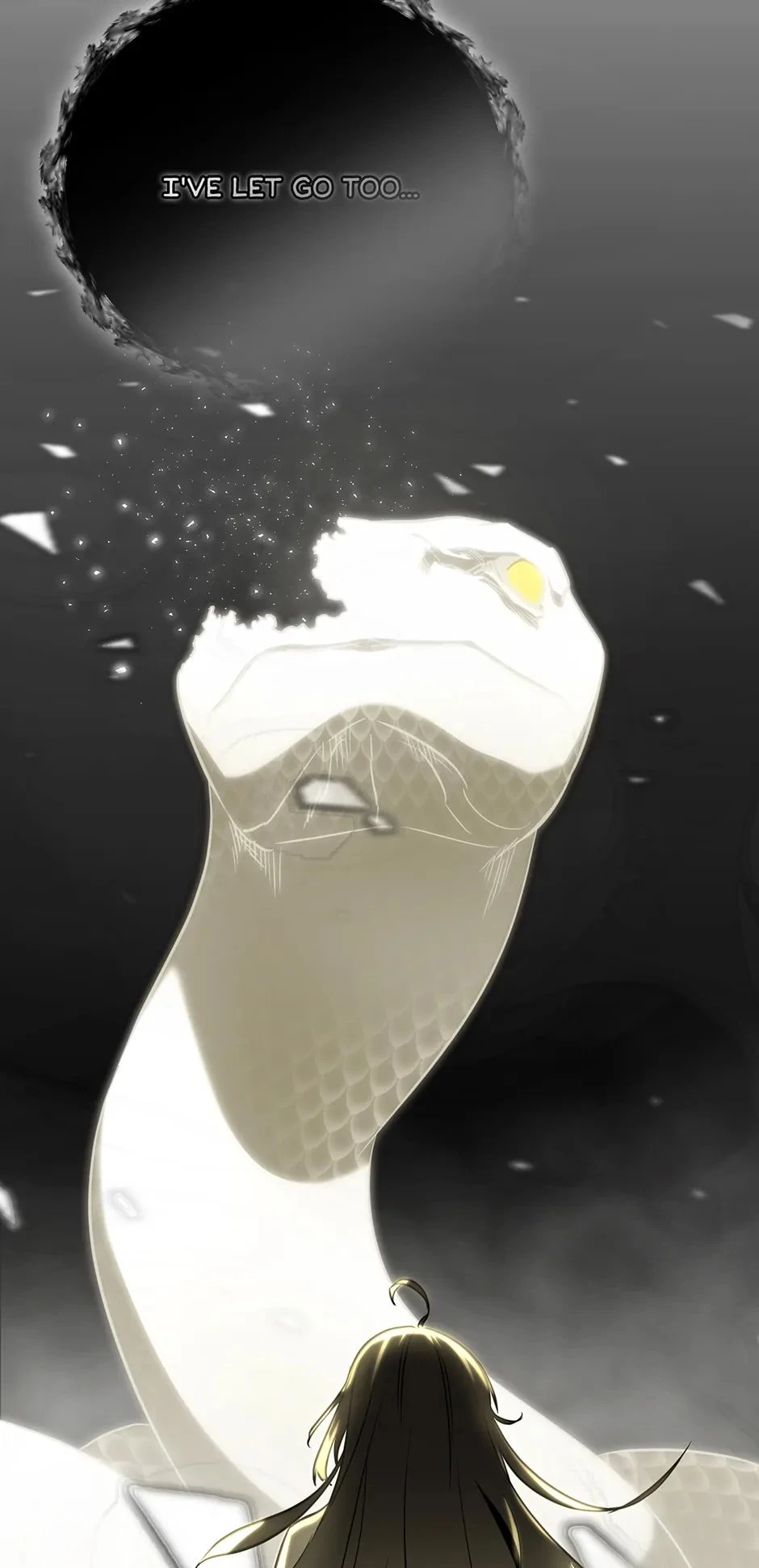Shadow of the Supreme Chapter 25 - 63